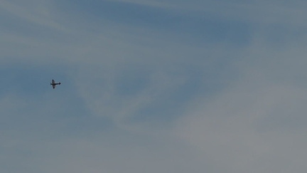 Spitfire