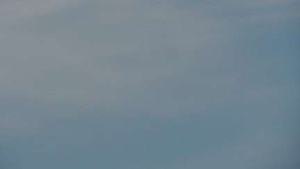 31-Planes