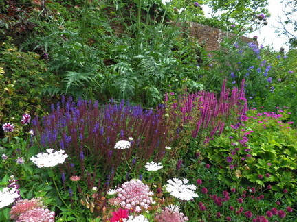 Purple flowers