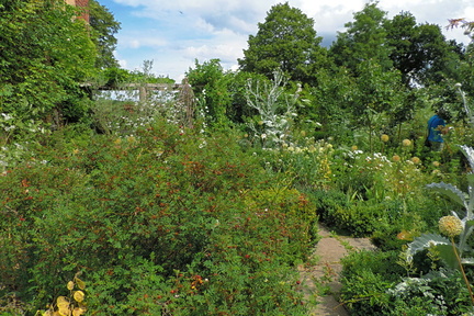 White Garden