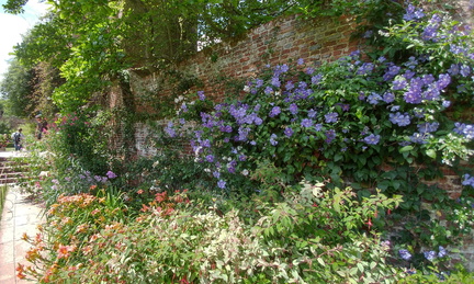 Wall