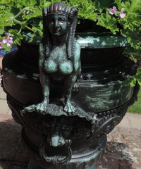 Pot
