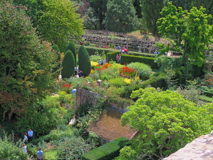 Colourful garden
