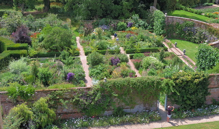 Purple garden