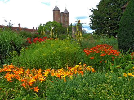 Orange flowers
