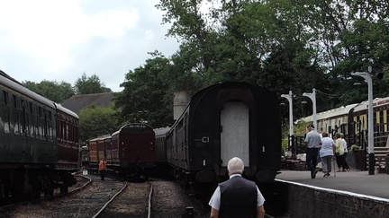 Shunting