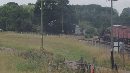 Along the train