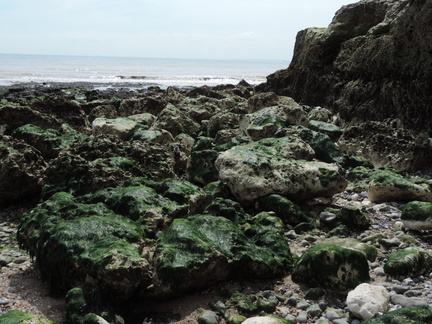 Rocks