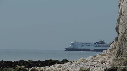 Ferry