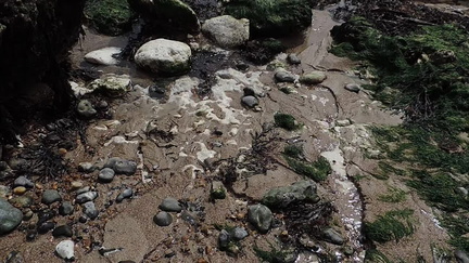 30-Stream