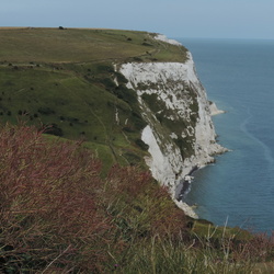 Dover Cliffs