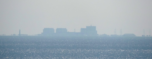 Dungeness