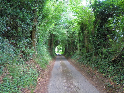 Lane