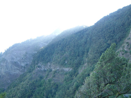Hillside