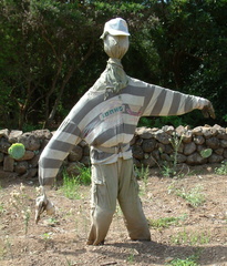 Scarecrow