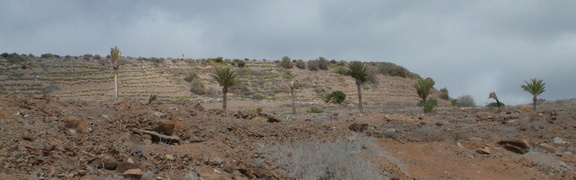 Runway above the palms