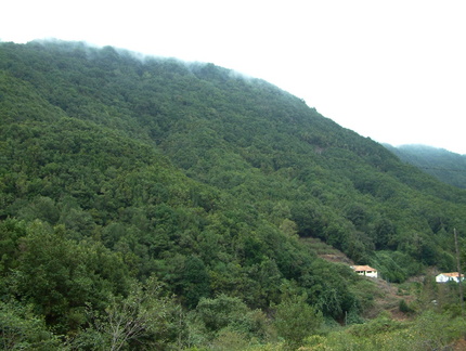 Clouds on the hillside
