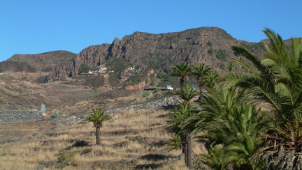 Palms leading to ridge