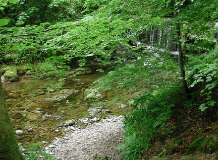 Shore with waterfall