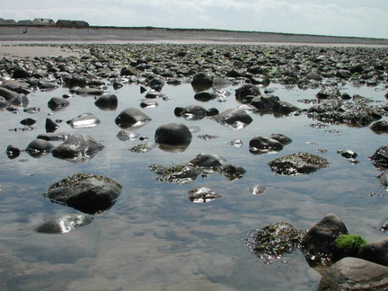 Rock pools