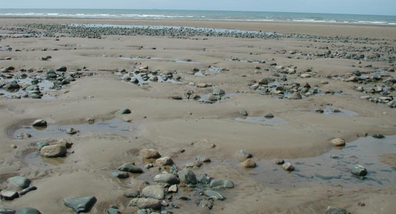 Stony beach