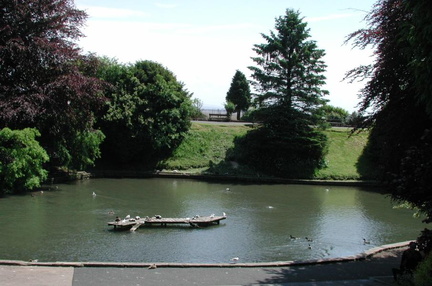 Pond