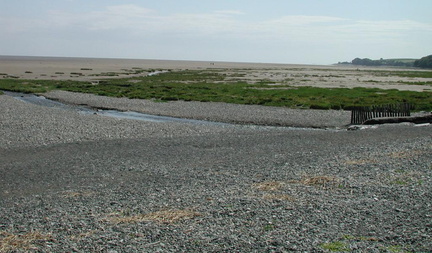Shingle stream