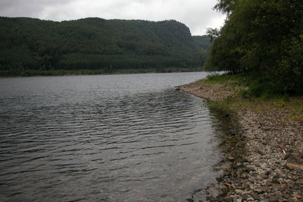Shore