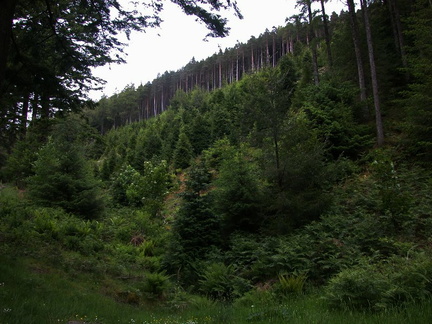 Slope