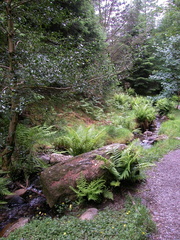 Stream