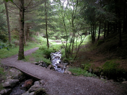 Bridge