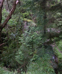 Dam