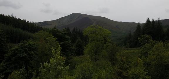 Peak