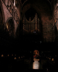Organ