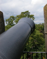 Cannon