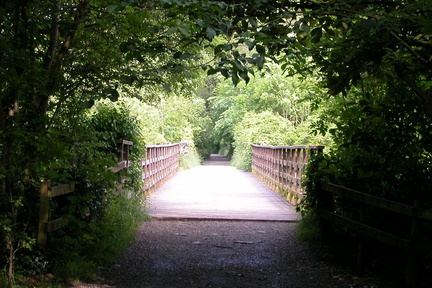 Bridge