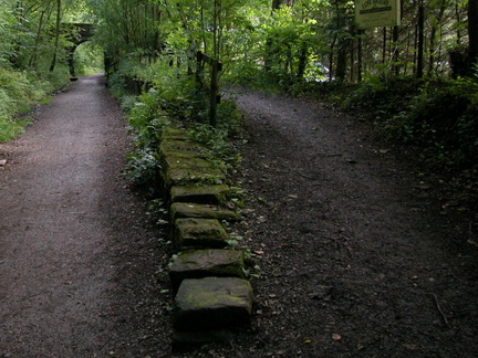Platform