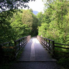 Bridge