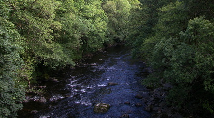 Rapids