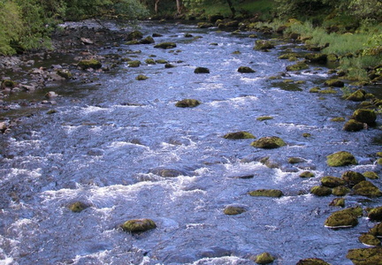 Rapids