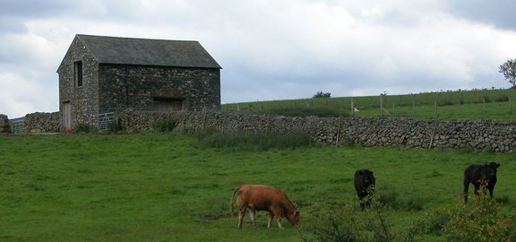 Farm