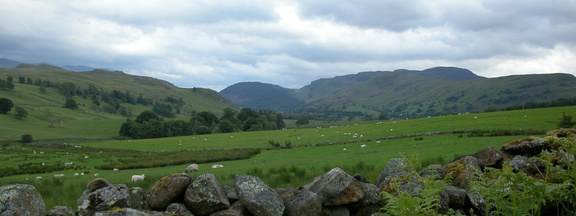 Fields