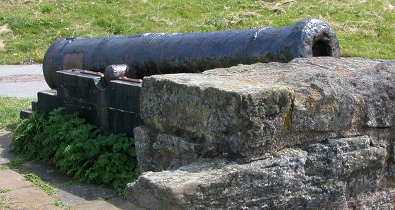 Cannon