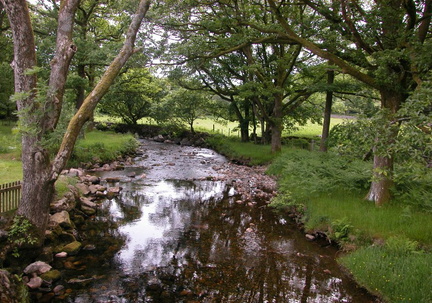 Stream