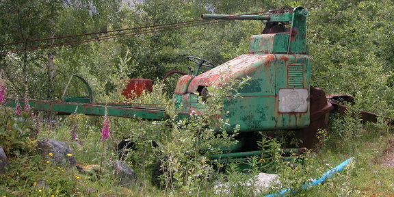 Overgrown