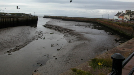 Estuary