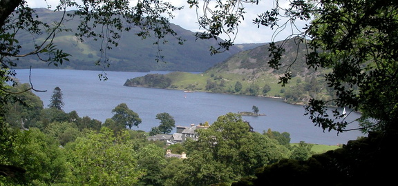 Lake through the trees