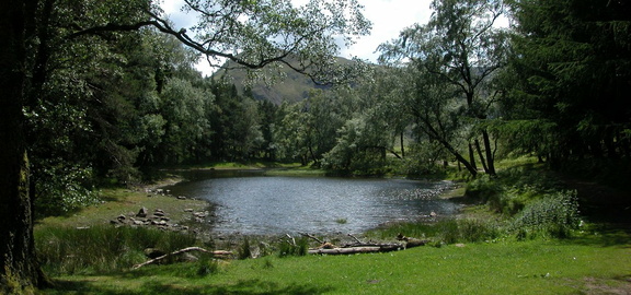 Tarn