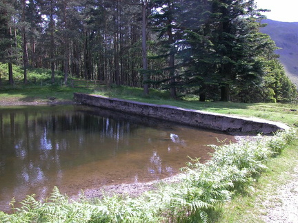 Dam
