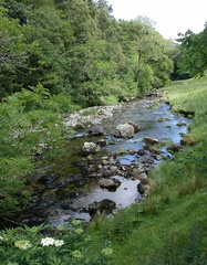 Stream